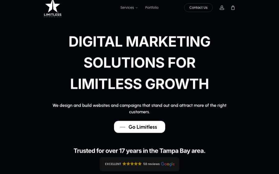 The Limitless Enterprises website